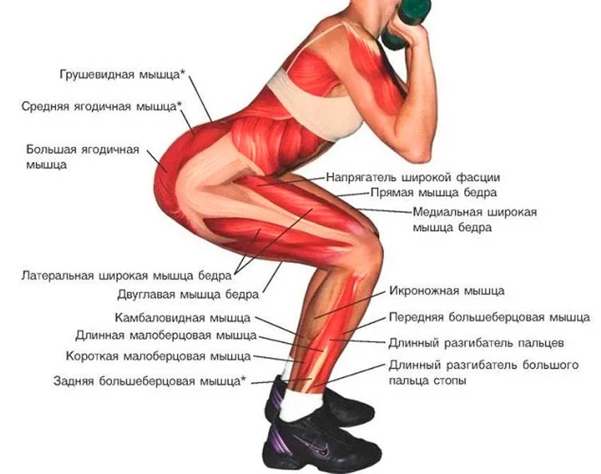 Что делать, если не чувствуете ягодицы на тренировке: как включить ягодичные мышцы в работу?