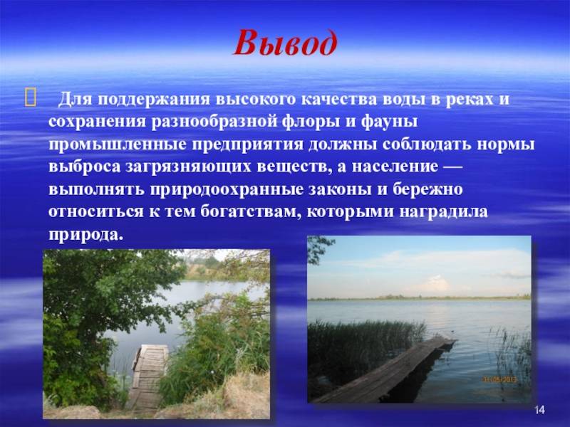 Как люди влияют на реку оку и какие меры предпринимаются для ее охраны? :: syl.ru