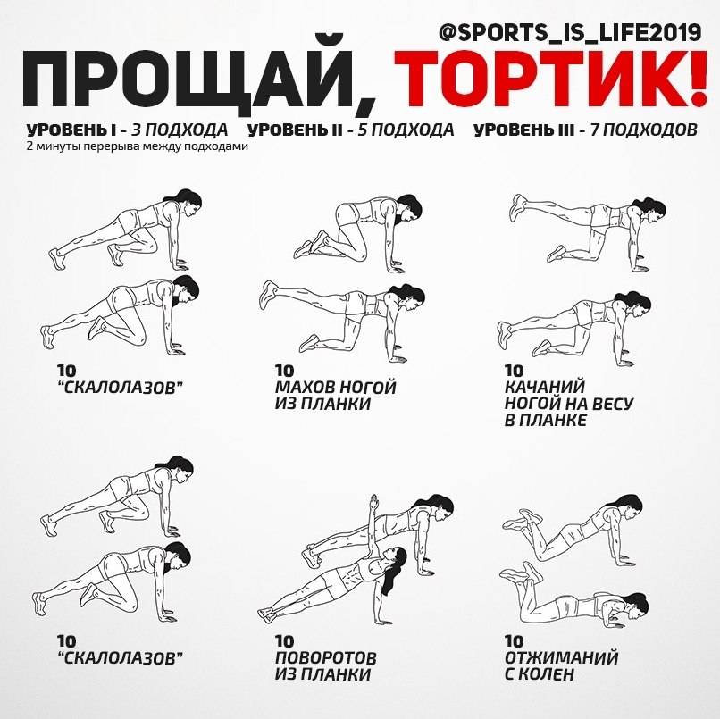 Упражнение скалолаз для пресса: какие мышцы работают и техника выполнения | irksportmol.ru