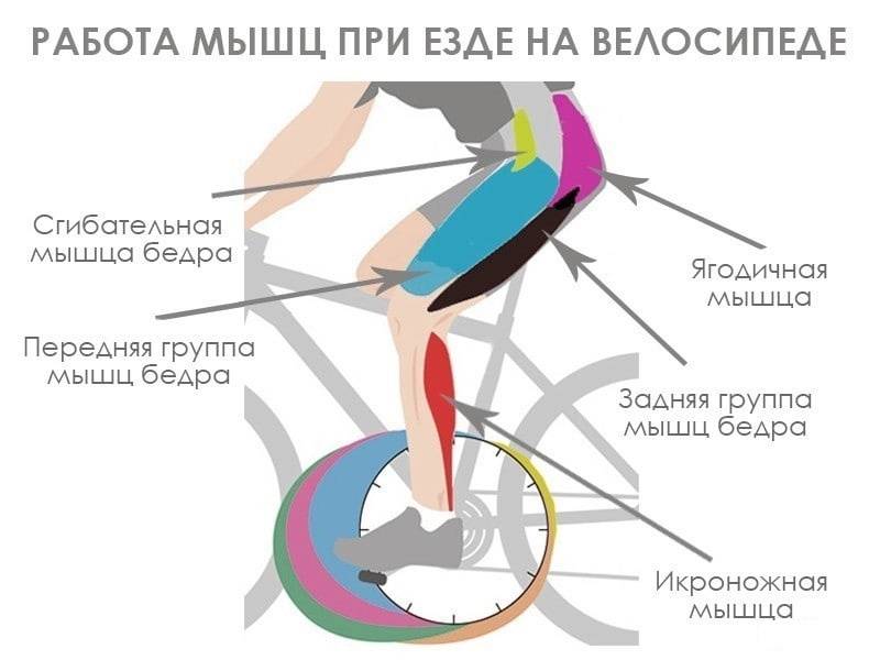 Езда на велосипеде для похудения