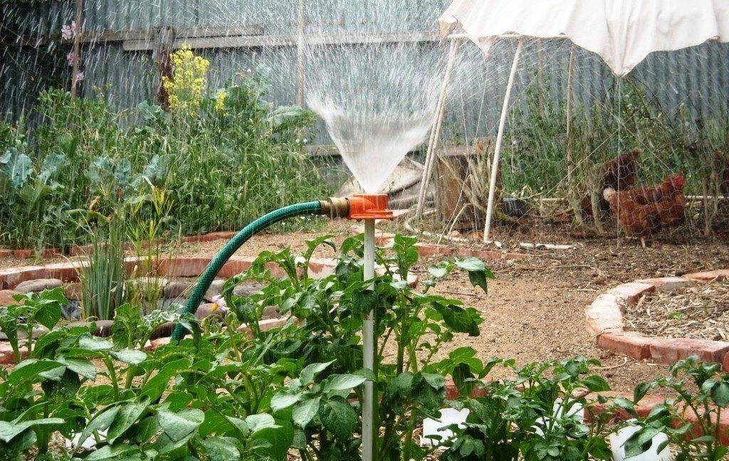 Можно ли поливать огород и газон водой из скважины