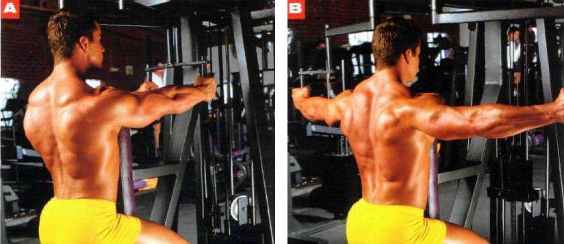 Как правильно качать плечи: тренировка дельтовидных мышц на массу и симметрию