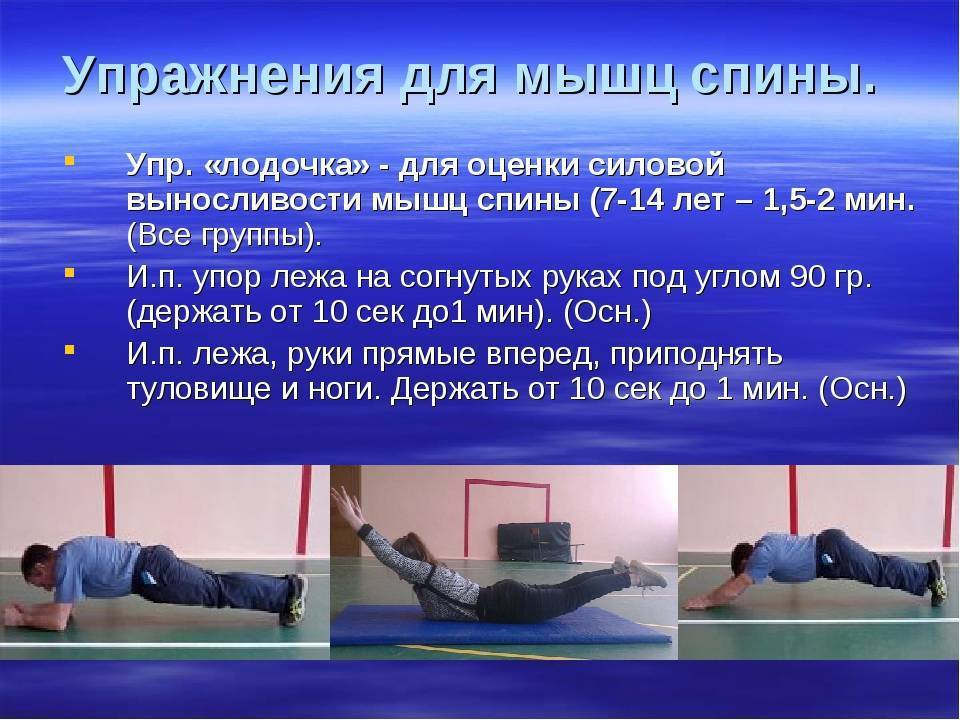 Изометрические упражнения в домашних условиях. система изометрических и статических упражнений для мышц