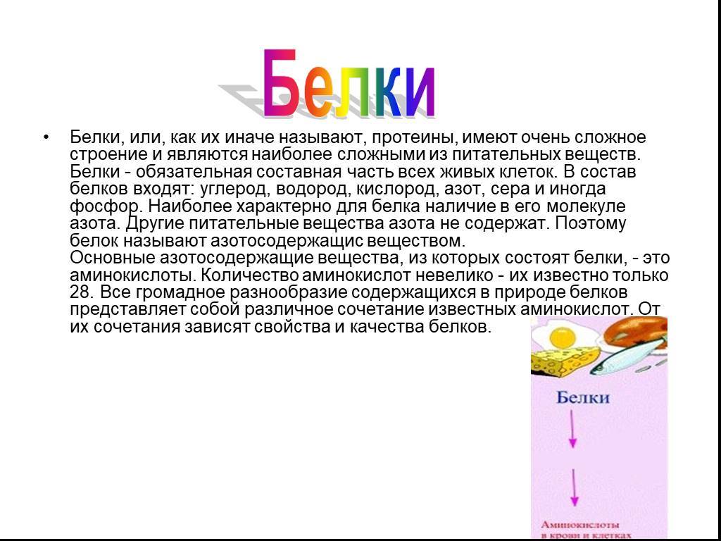 Названия белков. Доклад о белках жирах и углеводах. Белки сообщение по биологии. Сообщение о белков. Характеристика пищевых веществ белки.