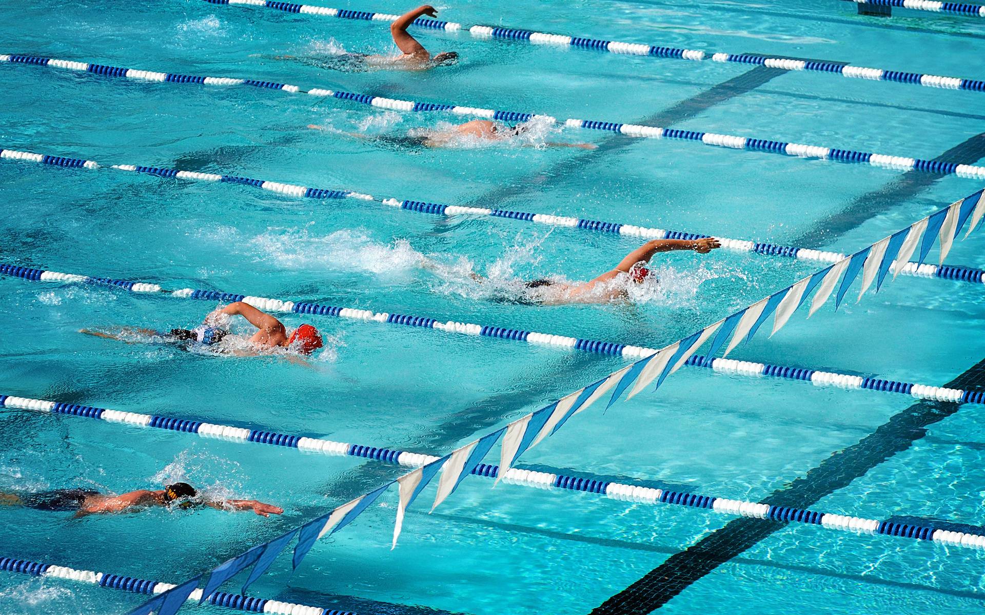 Спортивное плавание: история, ход соревнований и их виды, экипировка, методы тренировок - morevdome.com