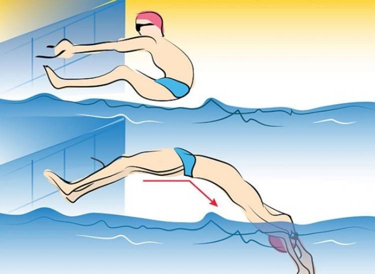 ✅ как правильно нырять с тумбы в бассейне. фазы старта при плавании. подводное плавание с аквалангом - ledi-i-sport.ru