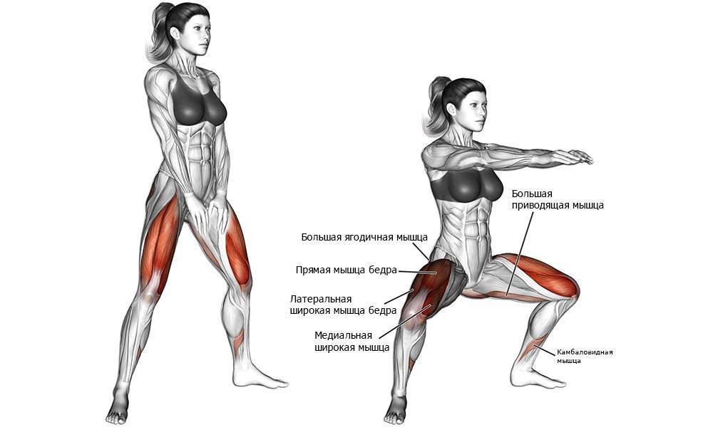 Правильная техника выполнения упражнения "приседания плие". какие мышцы работают?
