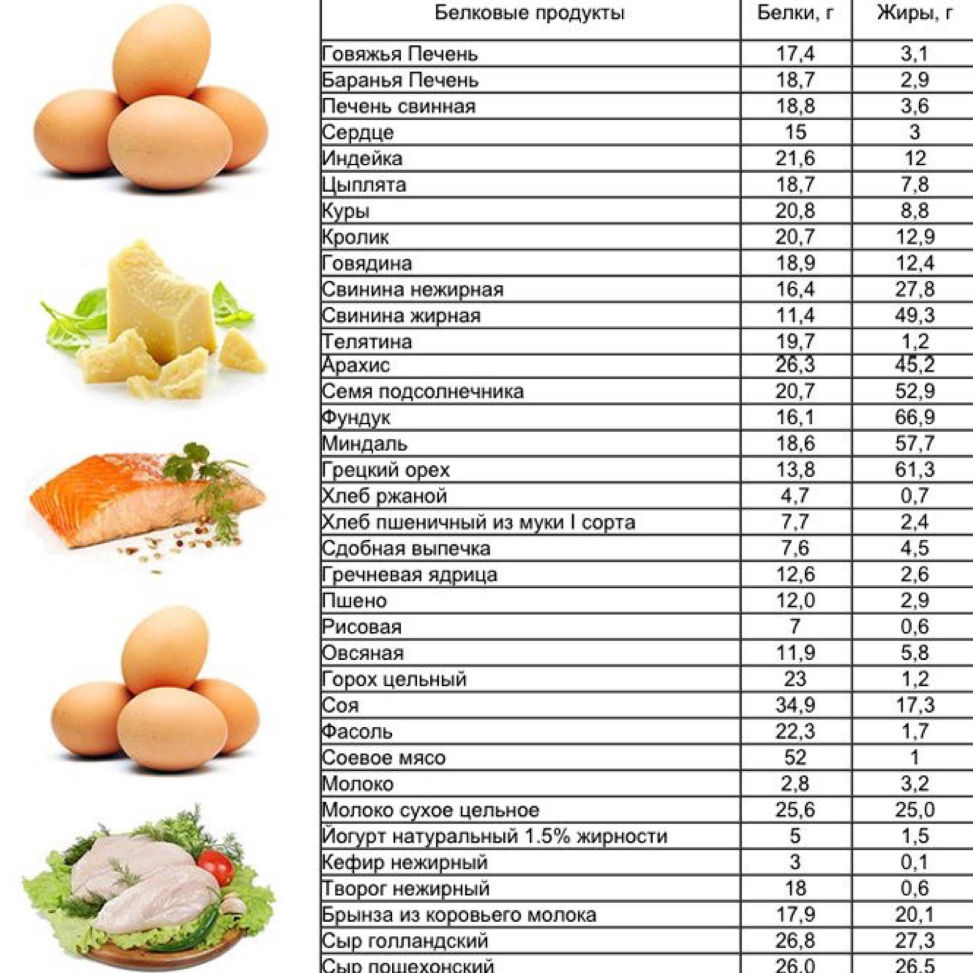 Все, что необходимо знать про продукты, содержащие белок