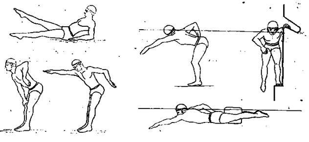 Сухое плавание: упражнения для пловцов на суше, тренировки и офп в зале и дома для спины и рук с эспандером и на тренажерах, растяжка
