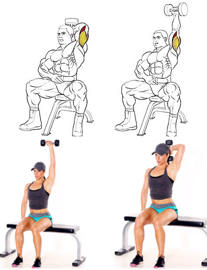 Базовые и изолирующие упражнения на трицепс или как накачать трехглавую мышцу плеча