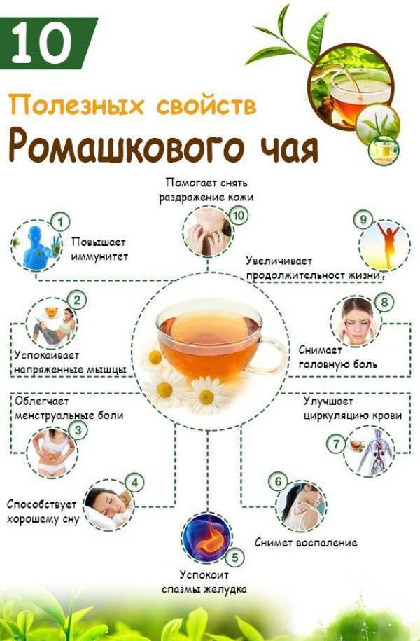 Ромашковый чай перед сном: какова польза? вся правда!