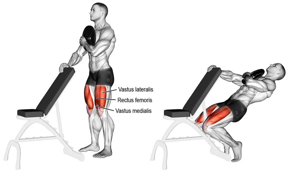 Гакк-приседания со штангой за спиной: какие мышцы работают, техника выполнения