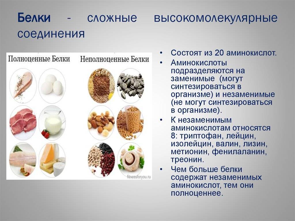 Биологически важные вещества | chemege.ru
