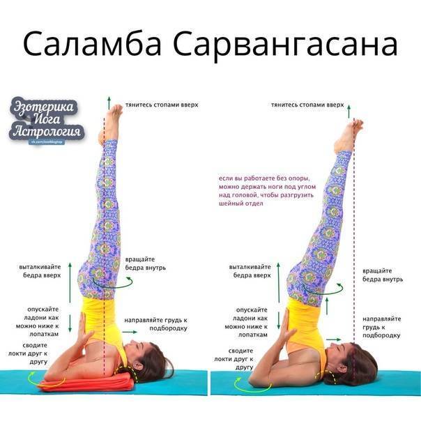 Сарвангасана — поза березки в йоге или стойка на плечах | ramananda.org