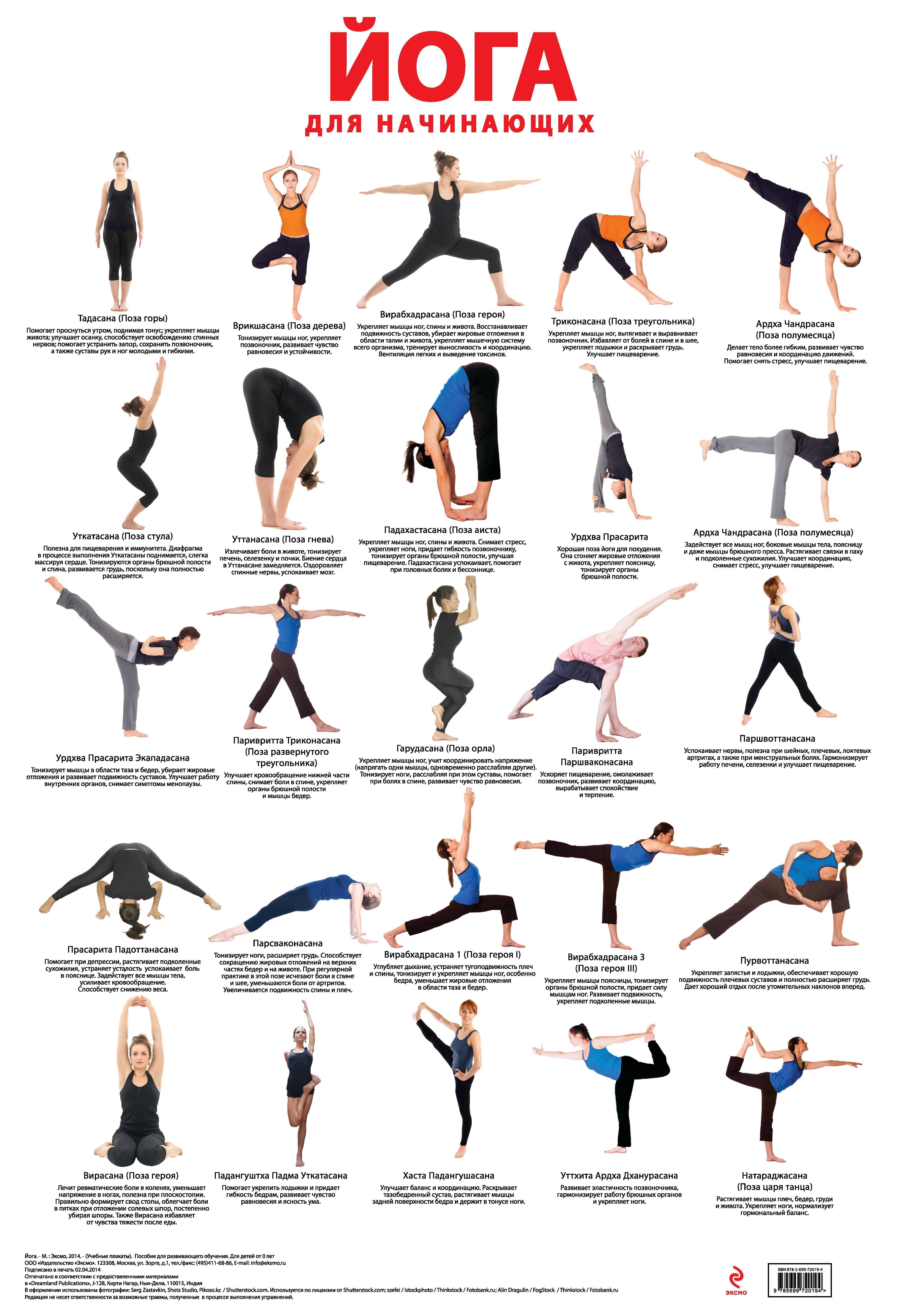 10 базовых поз йоги для начинающих