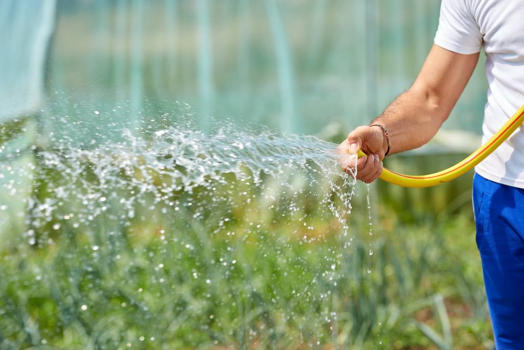 Как правильно и часто поливать огород – виды растений, советы, правила и режимы