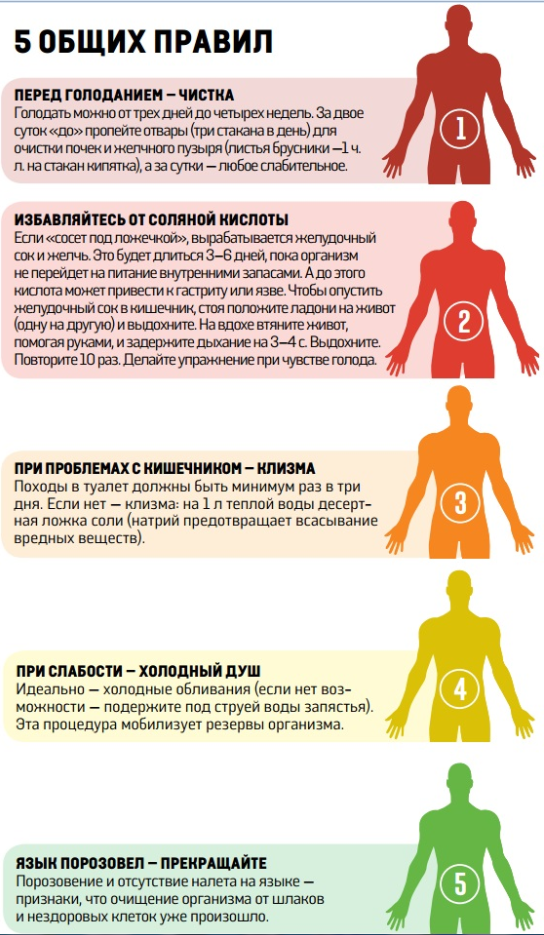Лечебное голодание: фото до и после, отзывы и результаты лечения голодом - medside.ru