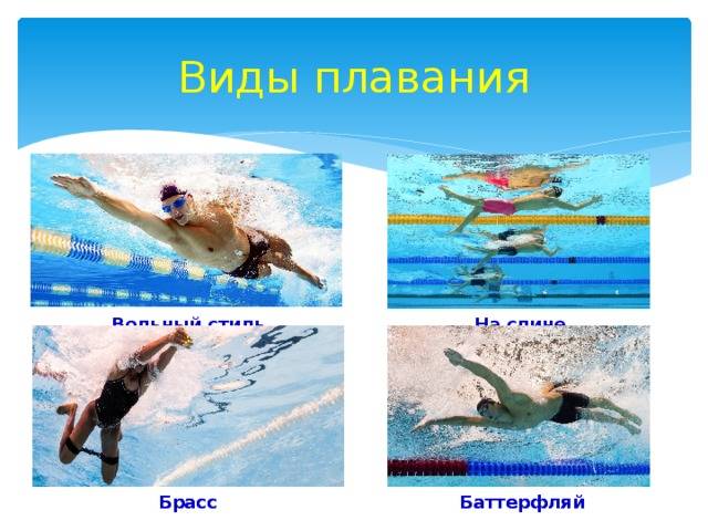 Баттерфляй - техника плавания для начинающих: пошагово с фото и видео