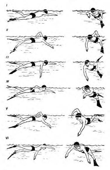 3. использование ласт на тренировках – хорошо или плохо?. секреты быстрого плавания для пловцов и триатлетов