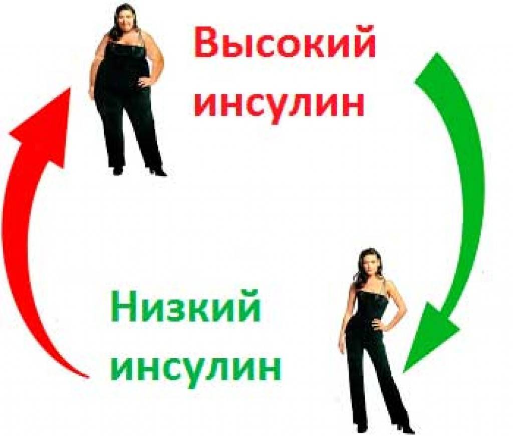Ожирение и гормон лептин - fitlabs / ирина брехт