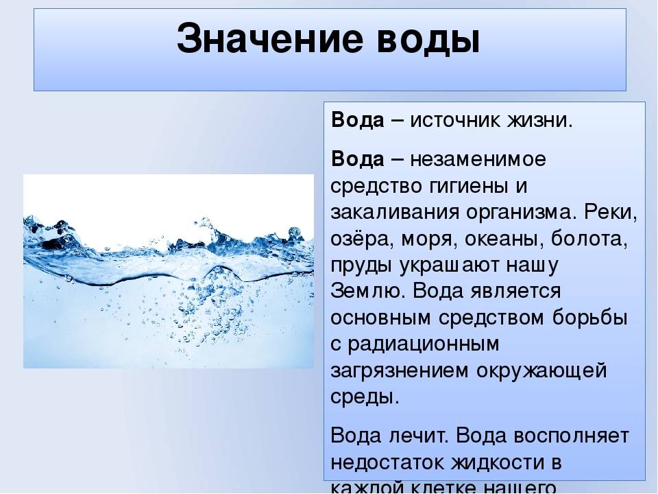 Роль воды в жизни человека – значение, важность кратко для сообщения (5 класс, биология)