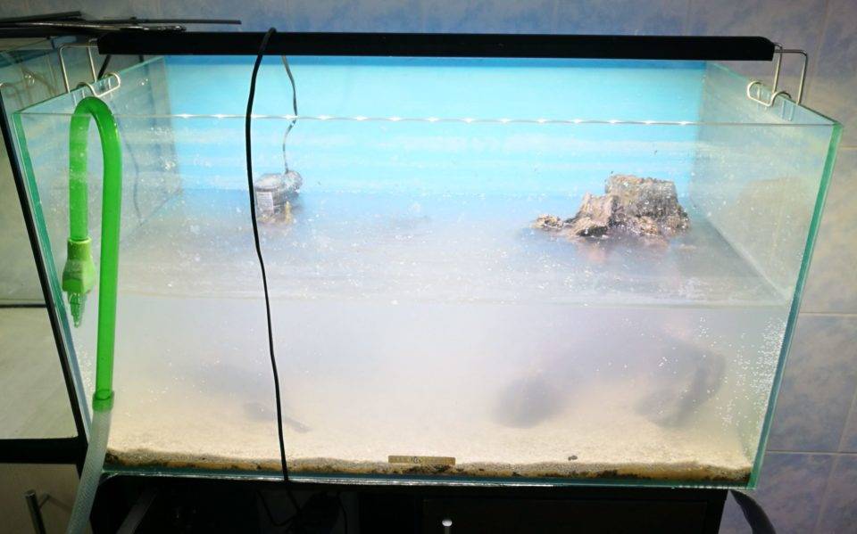 Вода для аквариума: зачем и почему нужно отстаивать воду, как правильно и сколько отстаивать, какая температура воды должна быть и что такое ph воды