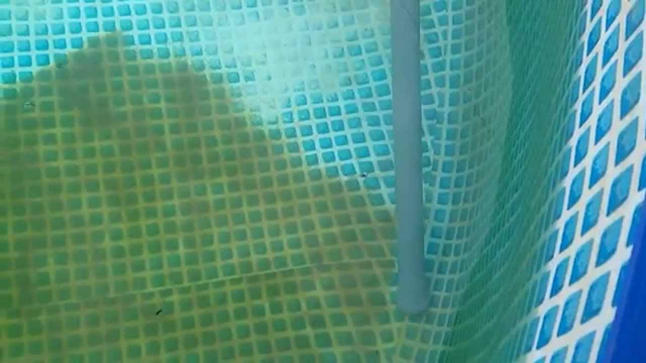 Пылесос для бассейна своими руками: как сделать, фото и видео
