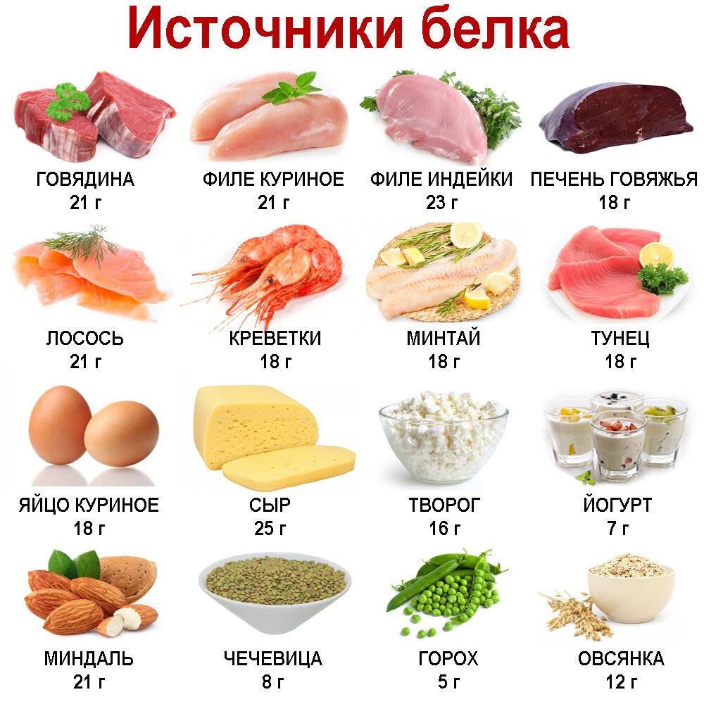 Белковая пища - список продуктов и меню на неделю