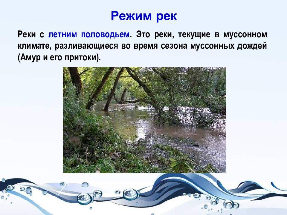 Волга. река волга характеристики истоки описание фото