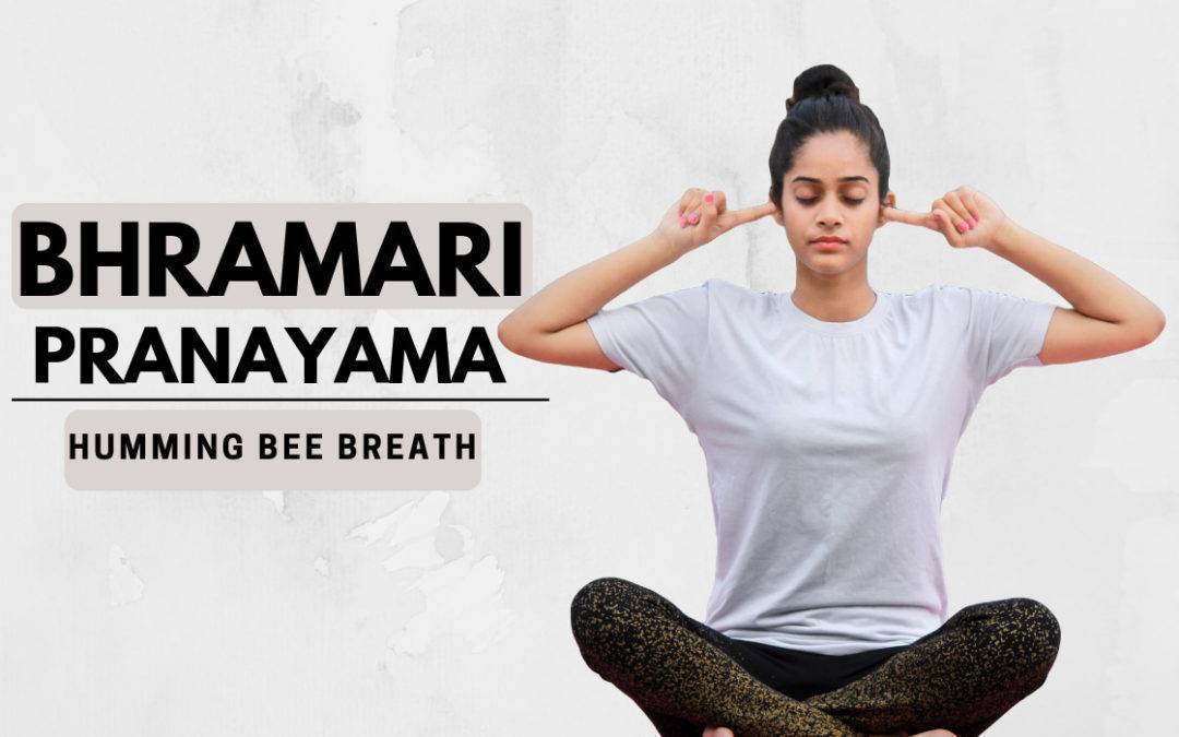 Снимаем стресс и напряжение “жужжанием пчелы” – техника выполнения Брамари пранаямы