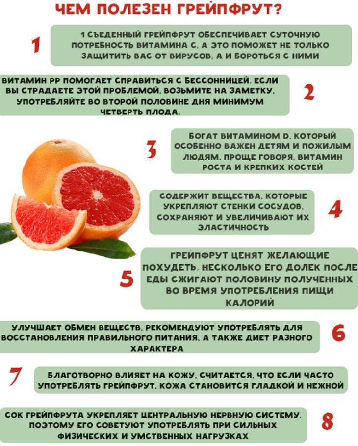 Грейпфрут, польза и вред, калорийность, противопоказания