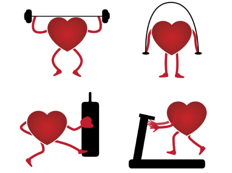 Влияние физических упражнений на сердечно-сосудистую систему: исследования и мнение экспертов
