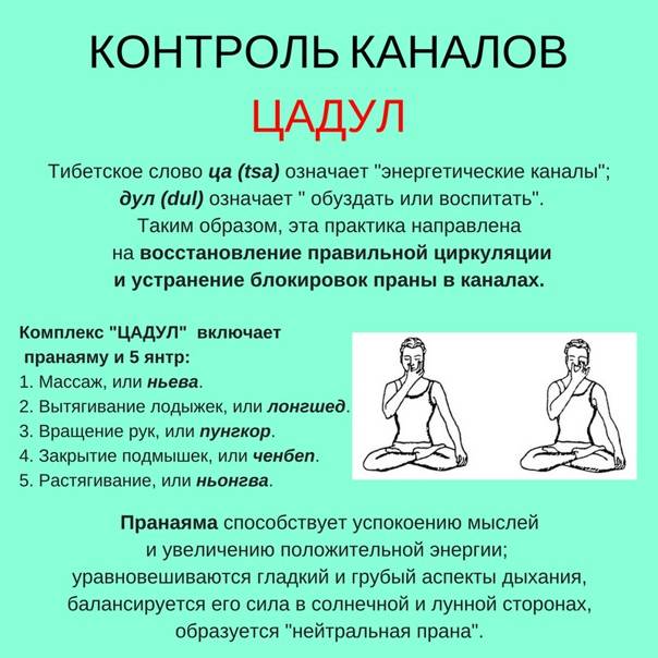 Древнетибетское учение для духовного развития: подробно о Янтра йоге